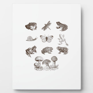 Cottagecore Aesthetic Mushroom Academia Frog Gobli Plaque