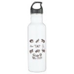 Cottagecore Aesthetic Mushroom Academia Frog Gobli Stainless Steel Water Bottle