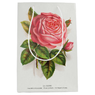 Cottagecore Antique Pink Rose Floral Illustration Medium Gift Bag