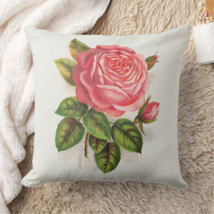 Cottagecore Antique Pink Rose Floral Illustration Throw Pillow