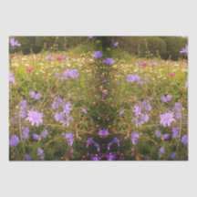 Cottagecore Flower Meadow