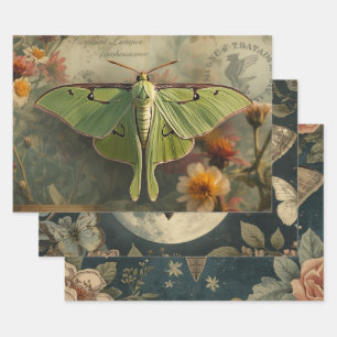 Cottagecore Moon Moth Gothic Moon Moth Nocturne Wrapping Paper Sheets