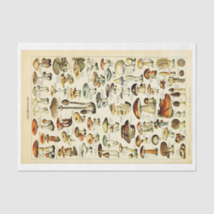 Cottagecore Mushrooms Vintage Naturalist Decoupage Tissue Paper