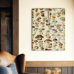 Cottagecore Mushrooms Vintage Naturalist Faux Canvas Print