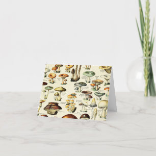 Cottagecore Mushrooms Vintage Naturalist Thank You Card