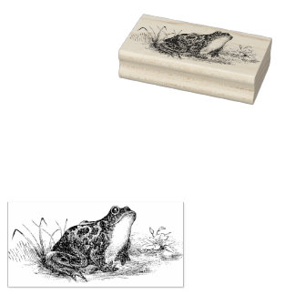 Cottagecore Vintage Frog Rubber Stamp