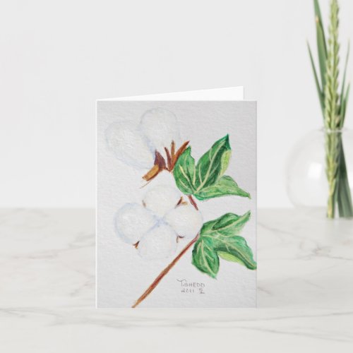 Cotton Boll Botanical Card