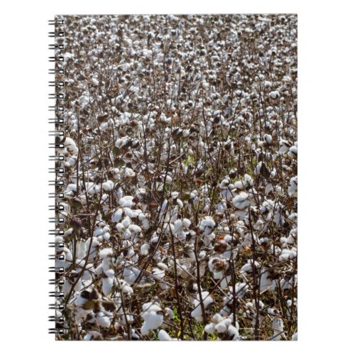 Cotton Crops Field Notebook