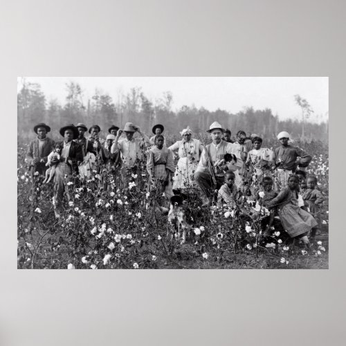 COTTON FARMER and PICKERS in MISSISSIPPI  1908 Poster