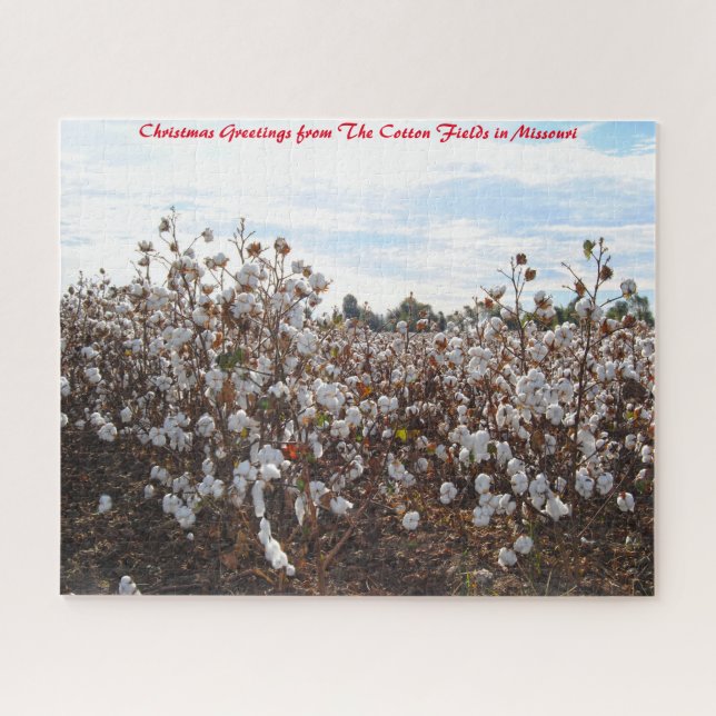 Cotton Field  Missouri.Christmas Greetings Jigsaw Puzzle (Horizontal)