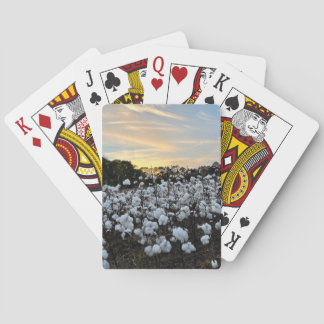 Cotton Field Poker Cards