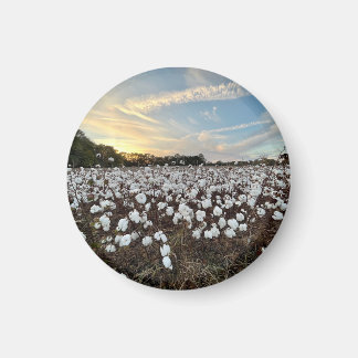 Cotton Fields Magnet