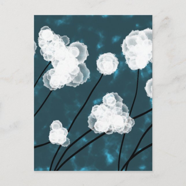 Cotton Gem Postcard (Front)