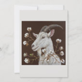 cotton king flat card (Front)