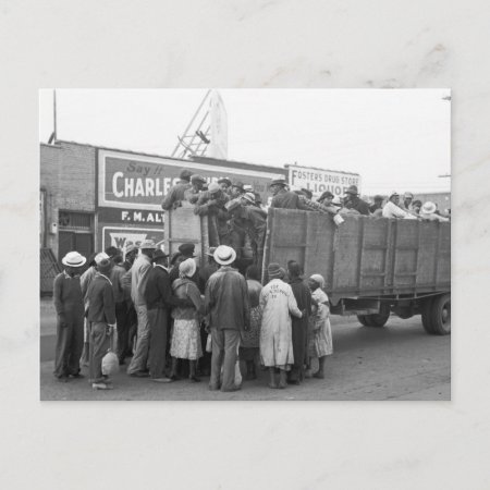 Cotton Pickers, 1938 Postcard