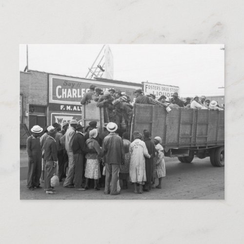Cotton Pickers 1938 Postcard