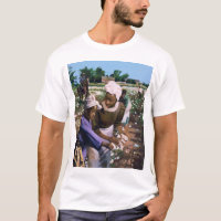 Cotton Pickers 2003