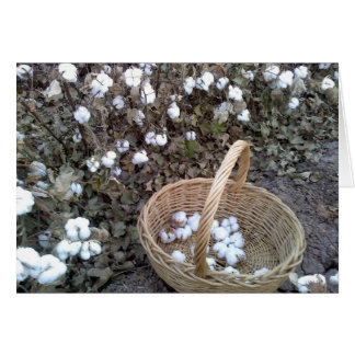 Cotton Pickin' Basket Cards