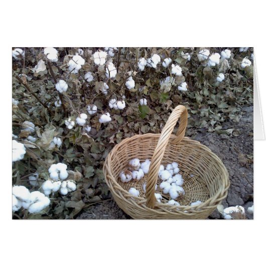 Cotton Pickin' Basket Cards (Front Horizontal)