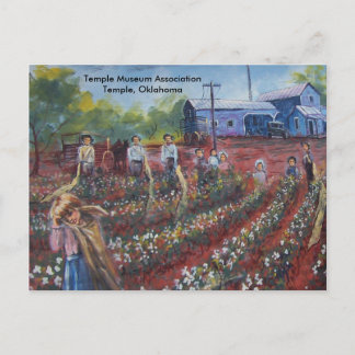 Cotton Pickin' in Oklahoma Postcard