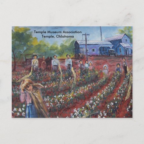 Cotton Pickin in Oklahoma Postcard