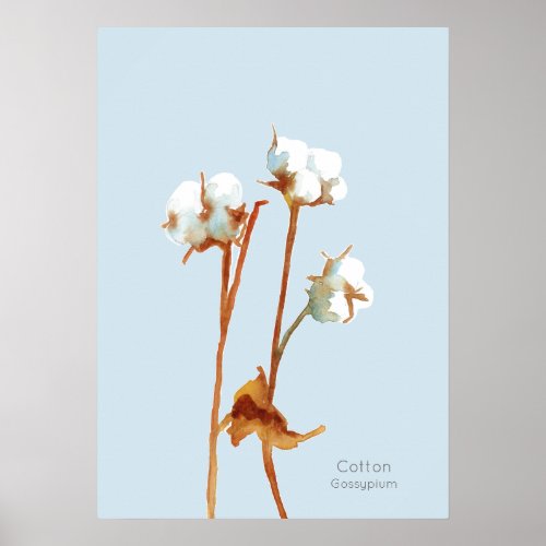 Cotton Plant Botanical Watercolor Poster