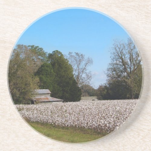 Cotton Series__Barn behind cotton field Coaster