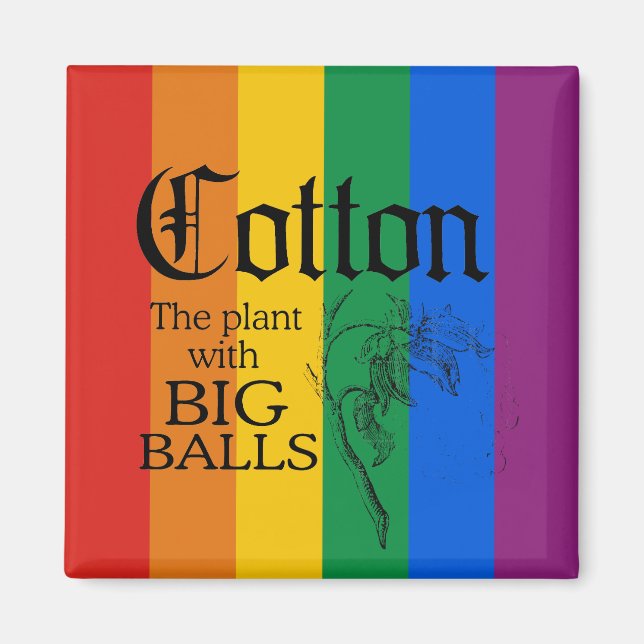 COTTON: THE PLANT WITH BIG BALLS MAGNET (Front)
