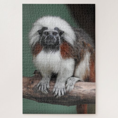 Cotton_top Tamarin Jigsaw Puzzle