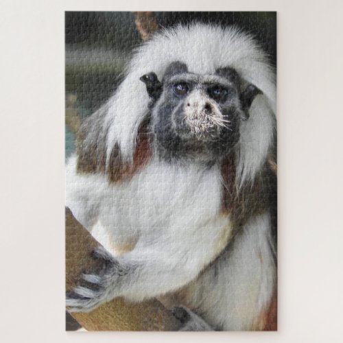 Cotton Top Tamarin Jigsaw Puzzle