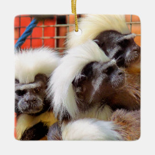 COTTON -TOP TAMARIN MONKEYS CERAMIC ORNAMENT