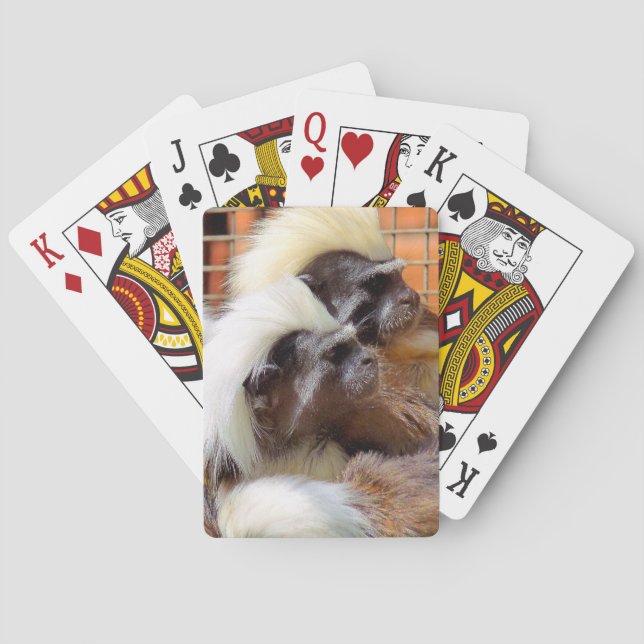 COTTON -TOP TAMARIN MONKEYS POKER CARDS (Back)