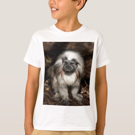 Cotton-top Tamarin T-shirt