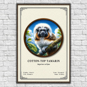Cotton-top Tamarin Zoology Series Poster