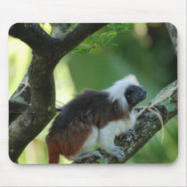 Cotton Topped Tamarin Mouse Pad