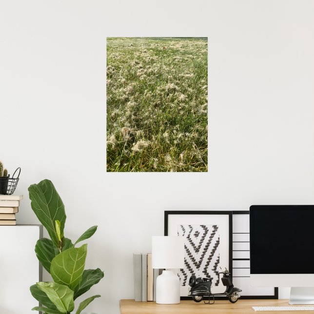 Cotton Willow Fluff Poster (Home Office)