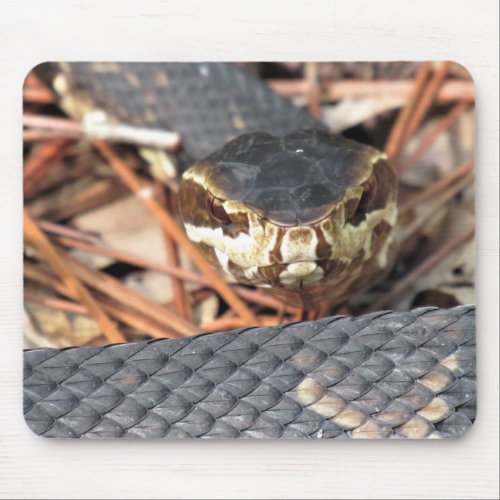 Cottonmouth Snake Mousepad