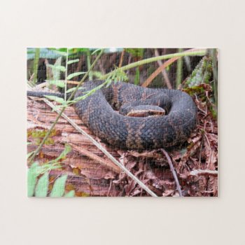 Cottonmouth Snake Puzzle by CatsEyeViewGifts at Zazzle