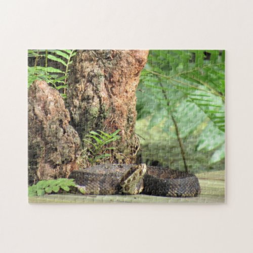 Cottonmouth  Water Moccasin Snake Jigsaw Puzzle