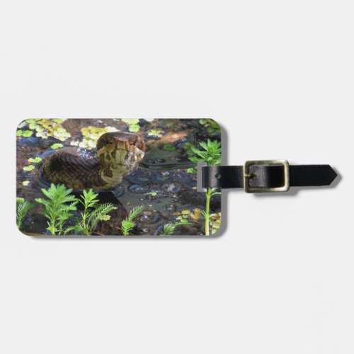 Cottonmouth  Water Moccasin  Snake  Luggage Tag