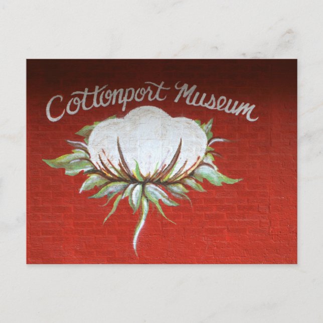 Cottonport Museum Postcard (Front)