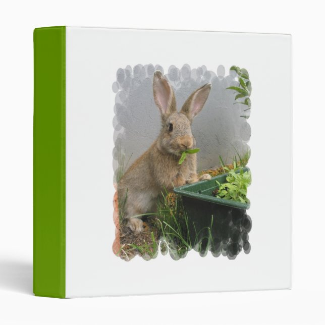 Cottontail Rabbit Binder (Front/Spine)
