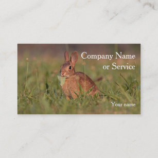Cottontail rabbit business card