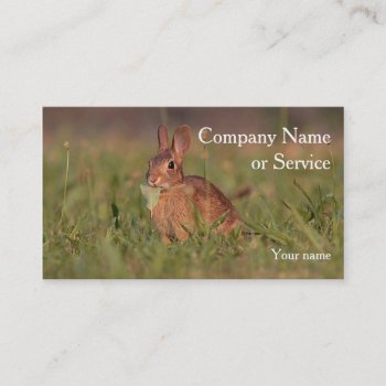Cottontail Rabbit Business Card by backyardwonders at Zazzle