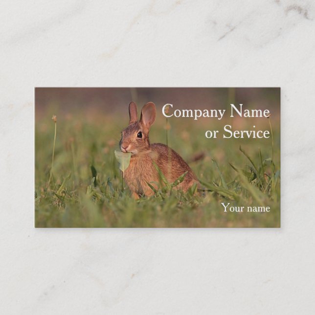 Cottontail rabbit business card (Front)