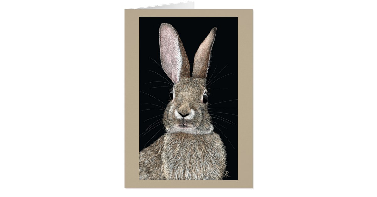 Cottontail Rabbit Card Cottontail Rabbit Card | Zazzle