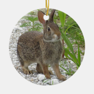 Cottontail Rabbit Ceramic Ornament