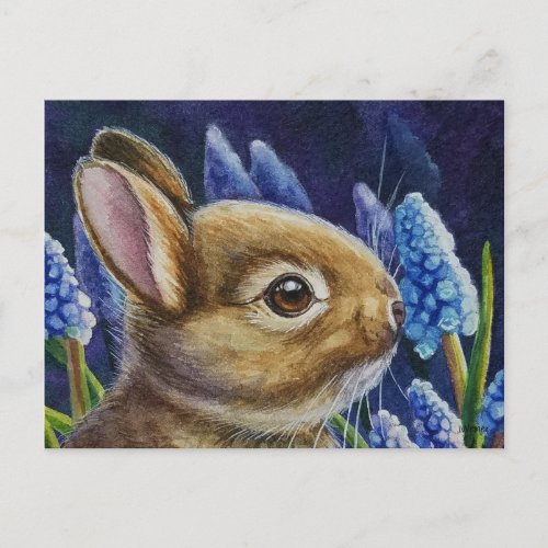Cottontail Rabbit  Grape Hyacinth Watercolor Art Postcard