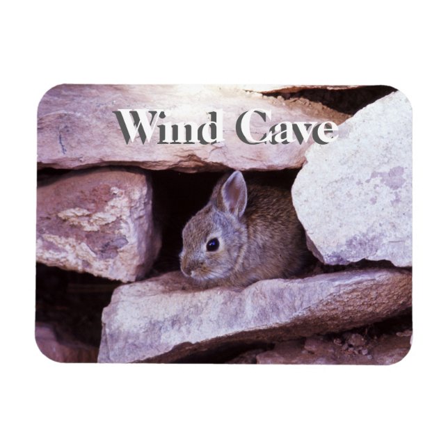 Cottontail Rabbit in Rocks Wind Cave NP Magnet (Horizontal)
