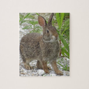 Cottontail Rabbit Jigsaw Puzzle